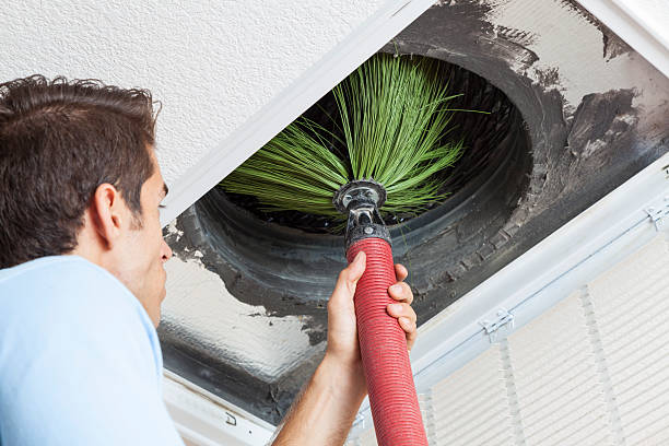 Best Air Duct Sanitization & Disinfection in Buckner, KY